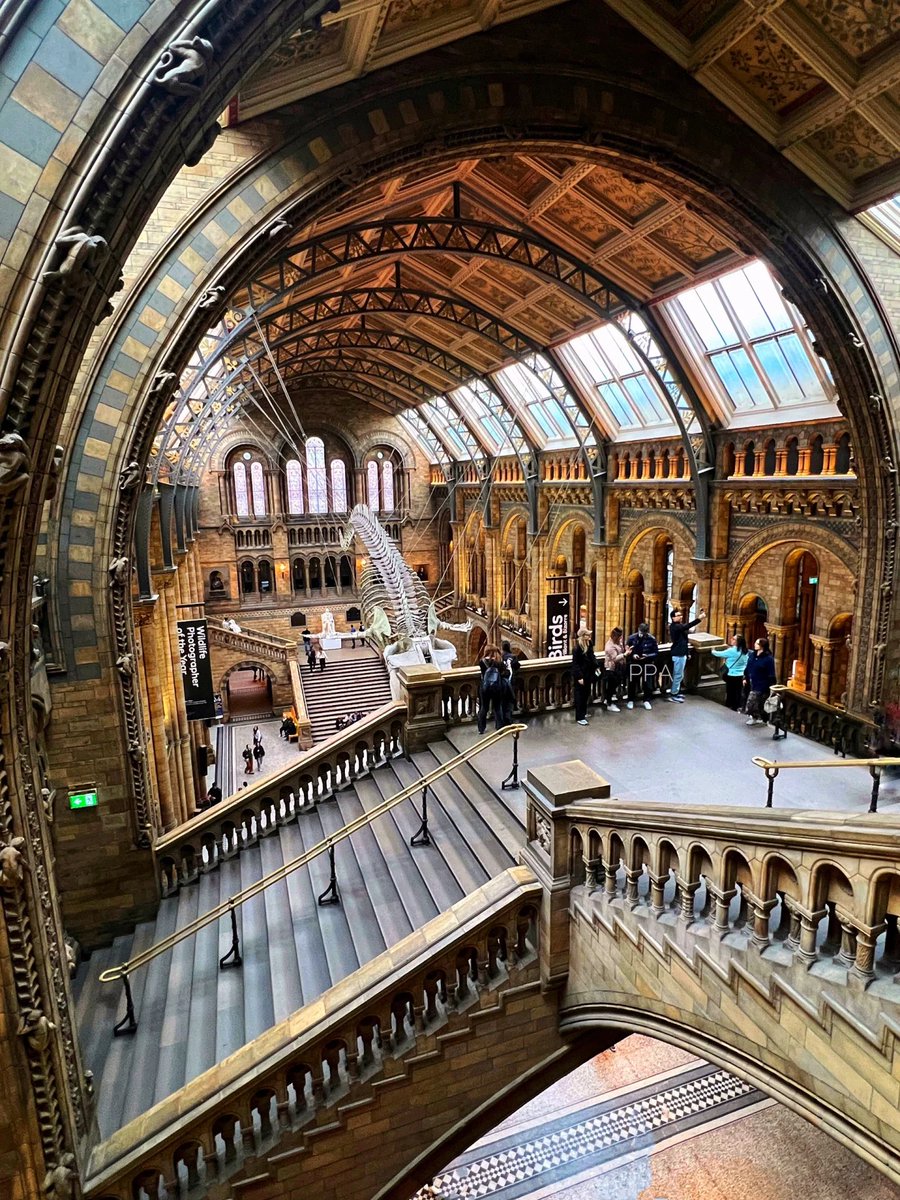 On Sunday, most of London's museums are free to visit. #LondonFacts