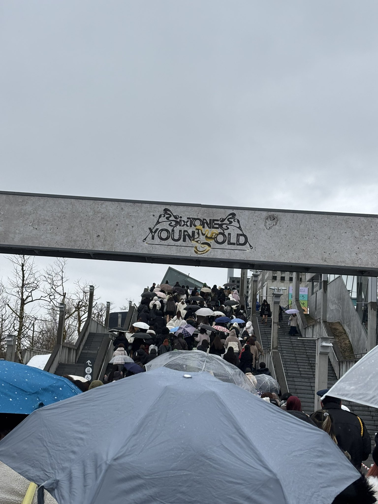 サヒョン🐱 ＠3月23日(日)SIXTONES YOUNG OLD札幌ドーム公演参戦
