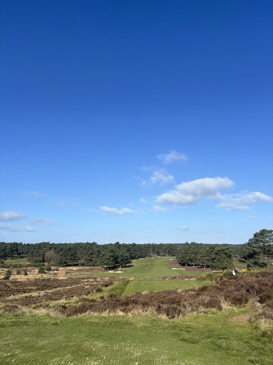 Beautiful morning at Hankley Common ⛳️