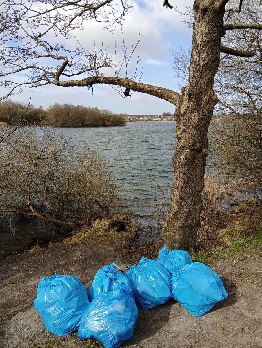 Wn3Ac's tweet photo. Ended up 7 bags just from that little area https://t.co/c7gEEI3Ayp