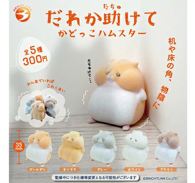 どこでもハムスター2(ちゅー) Amazon | どこでもハムスター2(ちゅー) | ゲームソフト