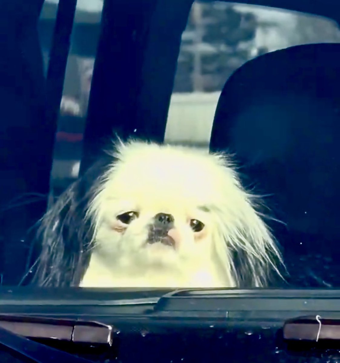 How I look today after sleeping in late and now catching my tail to meet assignment deadlines 😮‍💨 Time change got me good today 🤦🏻‍♀️

#SpringForward #timechange #hourlost #dayupset #assignments #selfie 😂