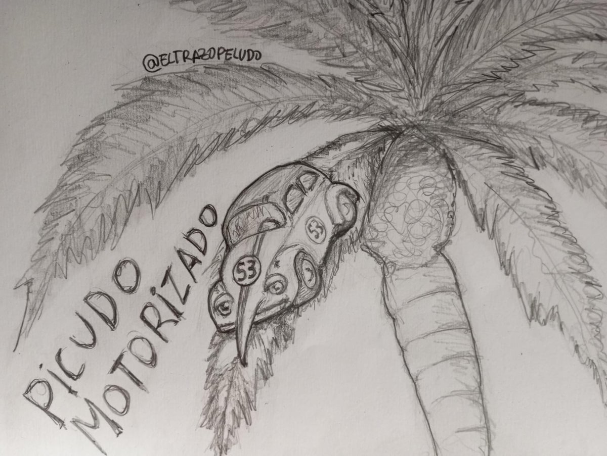 El trazo peludo (@eltrazopeludo) on Twitter photo 