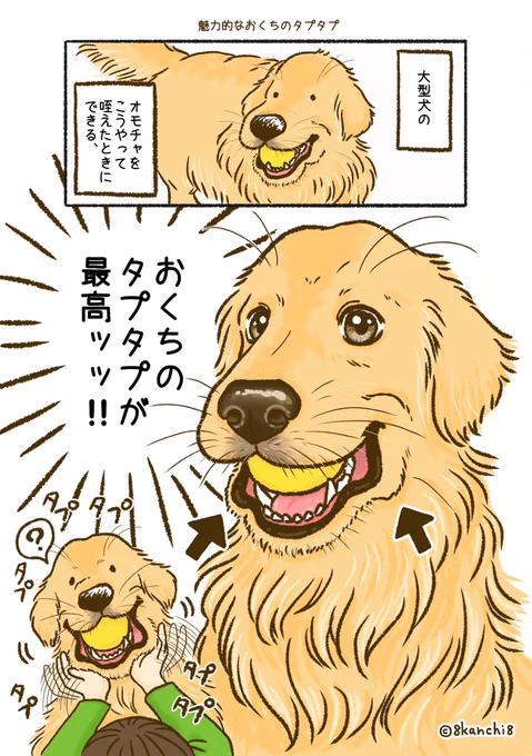 ゴルのおくちのタプタプからしか摂取できない栄養がある。 