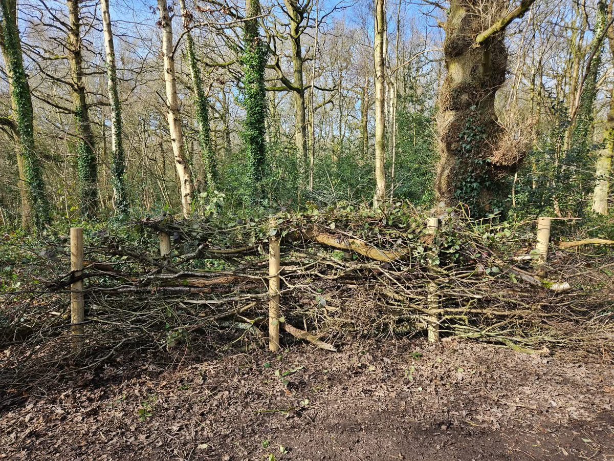 Our next Task Event will be on Saturday 5 April 10.00 - 12.00 noon. We will meet at the Springwood Drive entrance to Chaddesden Wood. Please wear appropriate footwear &amp; clothing and bring gardening gloves if you have them. <a href="/derby_parks/">Derby Parks</a> <a href="/oakwoodderby/">Oakwood Derby</a> <a href="/Natures_Voice/">RSPB</a> <a href="/GreenFlagAward/">GreenFlagAward</a>