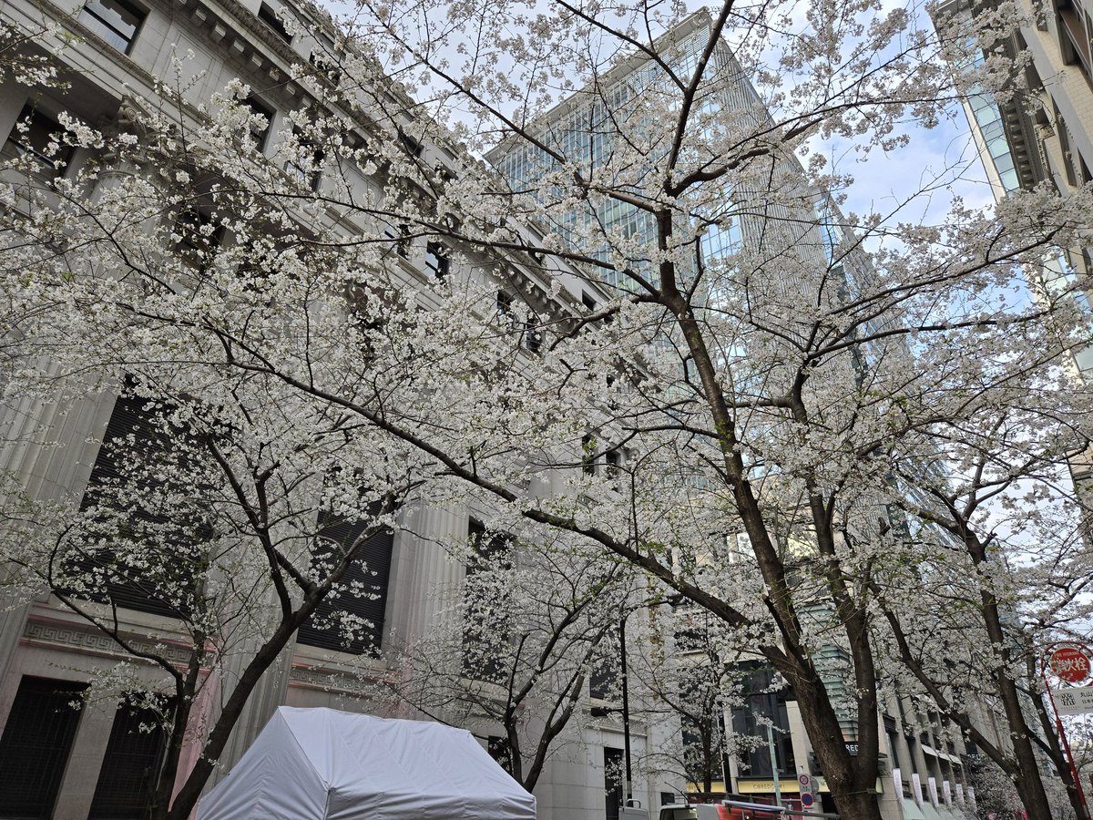 skqqhit_'s tweet photo. 春でした🌸 https://t.co/hTRdSHFJB3