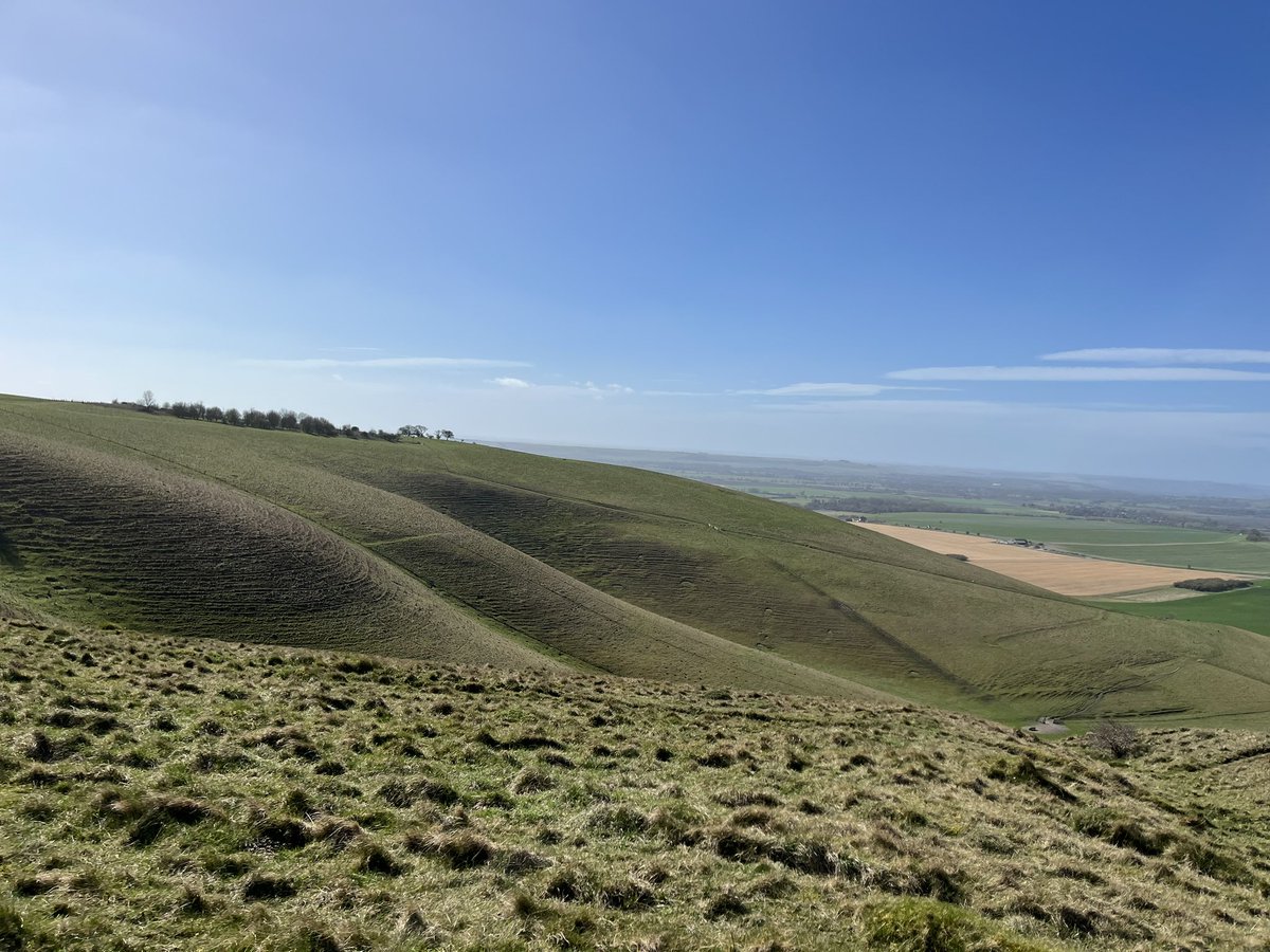 Laura Lerwill tweet media