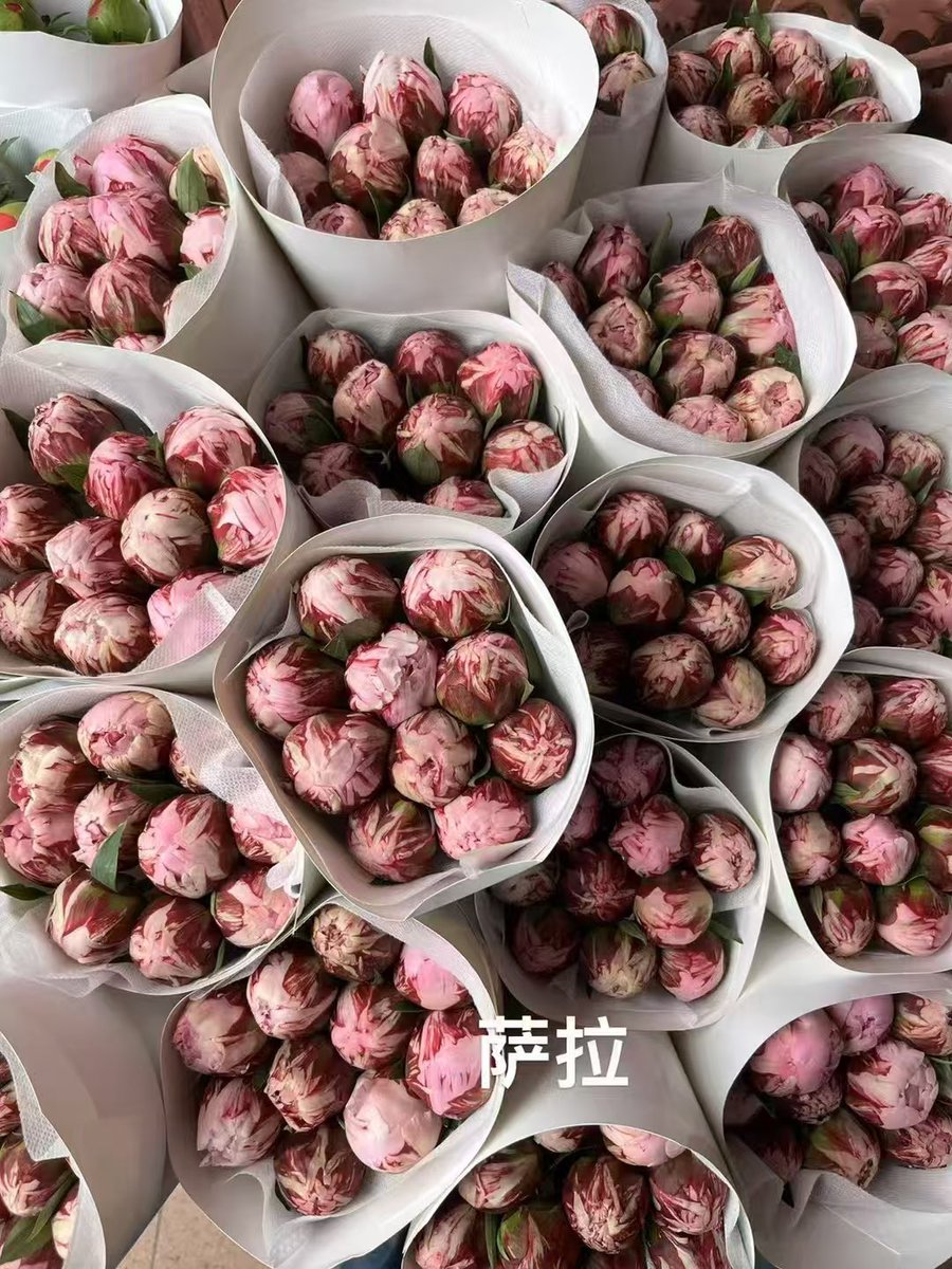 Peony Group tweet media