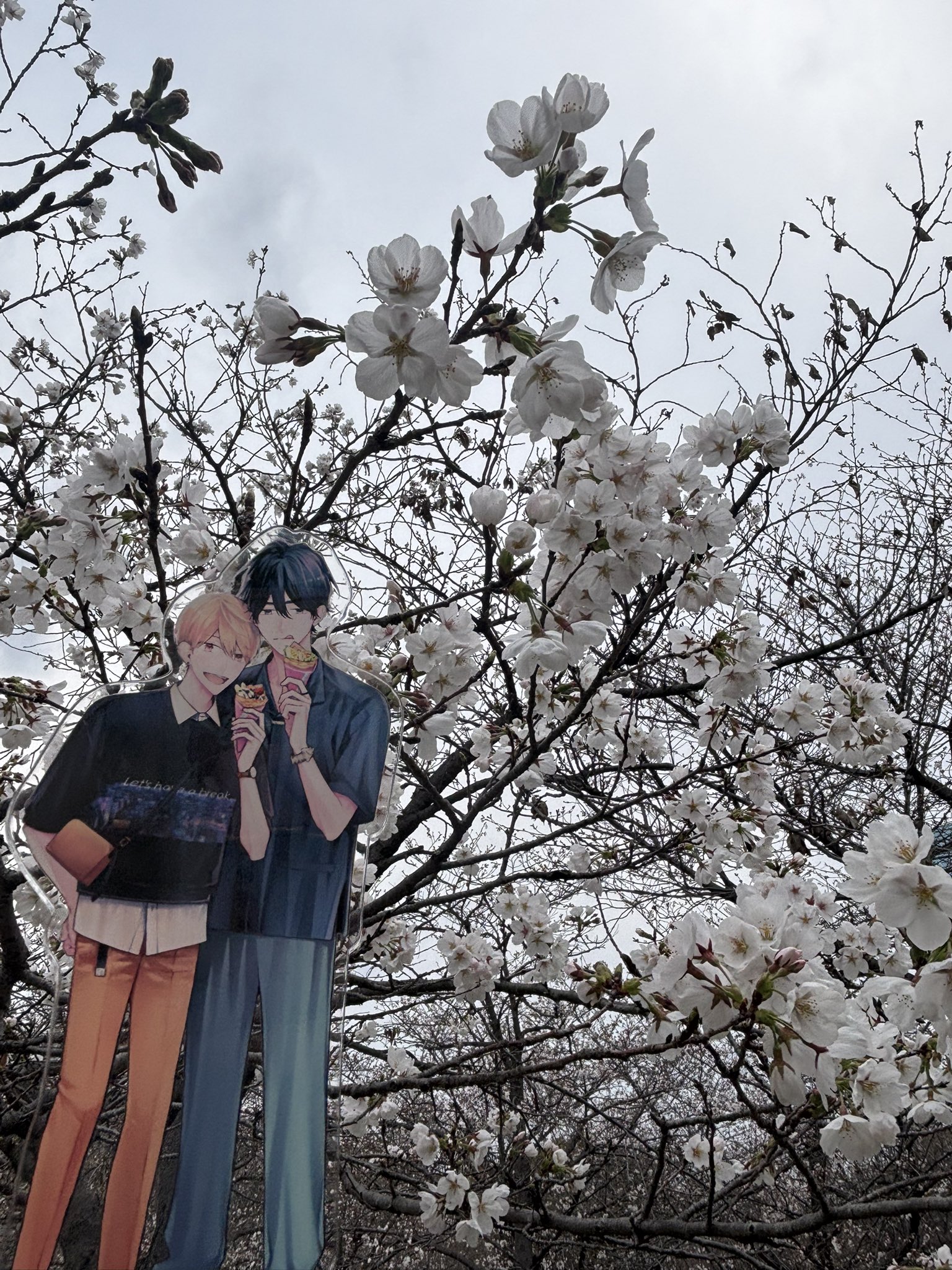 あっちゃん (@___sxn_rf15) / X