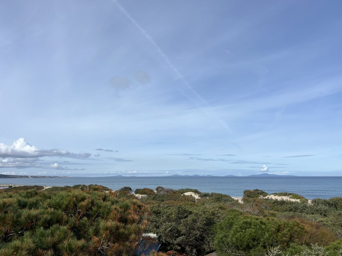 insopportabile tweet media