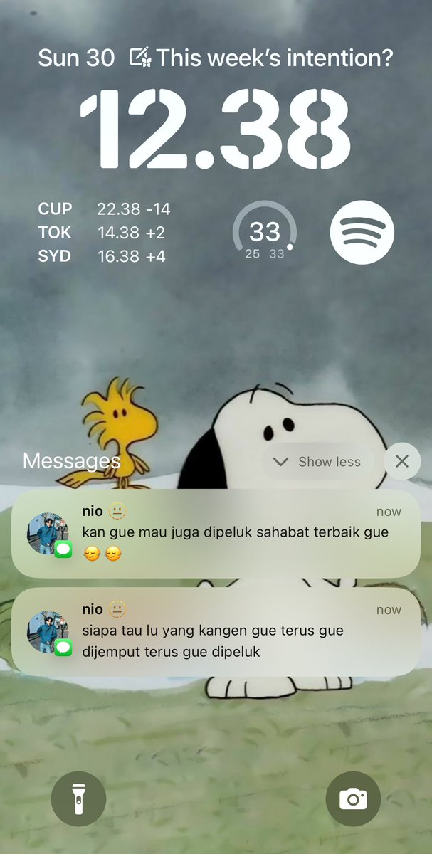 n. tweet media