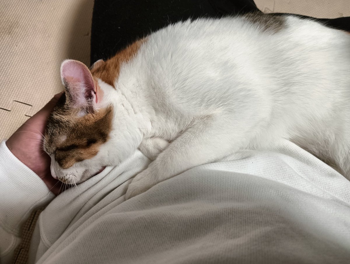 セルゥゥゥゥァァァァァ tweet media