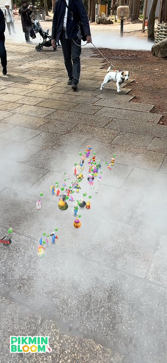 全国都市緑化かわさきフェアに行ってきました
お天気も良くてお散歩楽しかった、三箇所はバスも電車も使ったけど二万歩こえました。
ピザの苗ってこんなんでしたっけ
#ピクミンブルーム