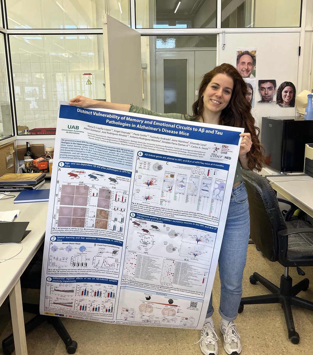 Sauralab tweet media