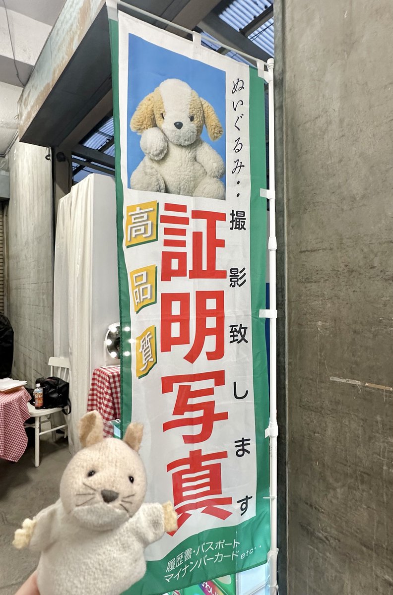 証明写真のぬいぐるみ写真館さん。こんなに小さな私ですのに、とても