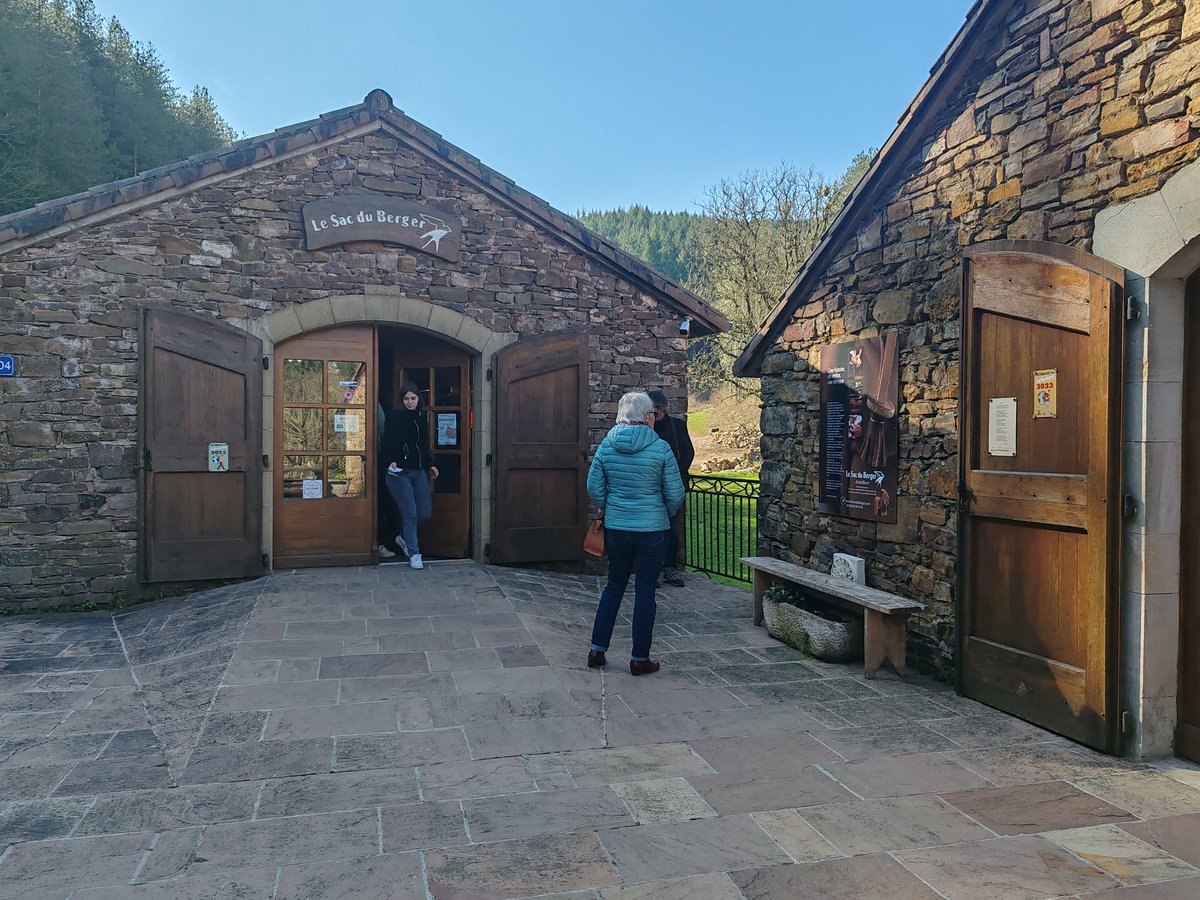 KaziSpardaa tweet media