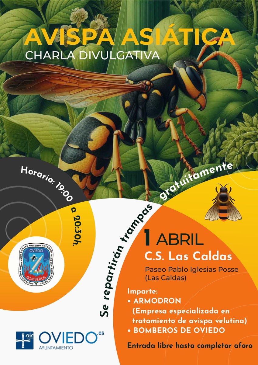 aytoviedo's tweet photo. Esta semana el servicio de Bomberos ofrecerá la última charla divulgativa sobre la avispa asiática, en la que se explicará cómo actuar ante la presencia de esta especie y la construcción de trampas

📅Martes, 1 de abril 🕖19:00h  
➡️ Centro Social de Las Caldas
▶️Entrada libre https://t.co/KHK6GRsIU5