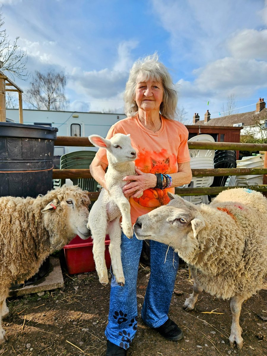 FARS_sanctuary tweet media