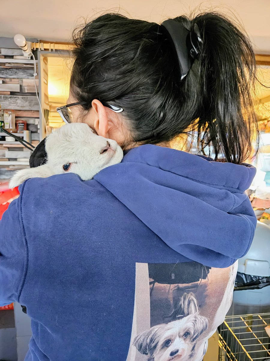 FARS_sanctuary tweet media