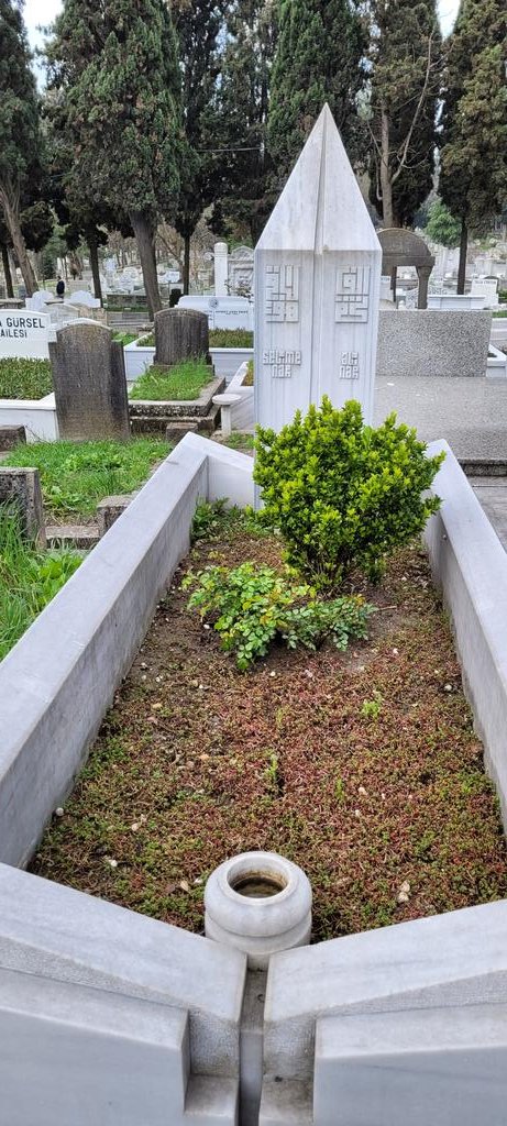 Edirnekapı şehitliğinde oğlum Muhammed Nuh ile başladığımız kabir ziyareti burada meftun bulunan sehitlerimizin, son devir ehli sünnet Ülemasının ve  musavvuflarının ziyaretini Ali Nar hocamızın kabri ile sonlandırdık.
Rabbim bütün geçmişlerimize rahmetiyle muamele etsin.