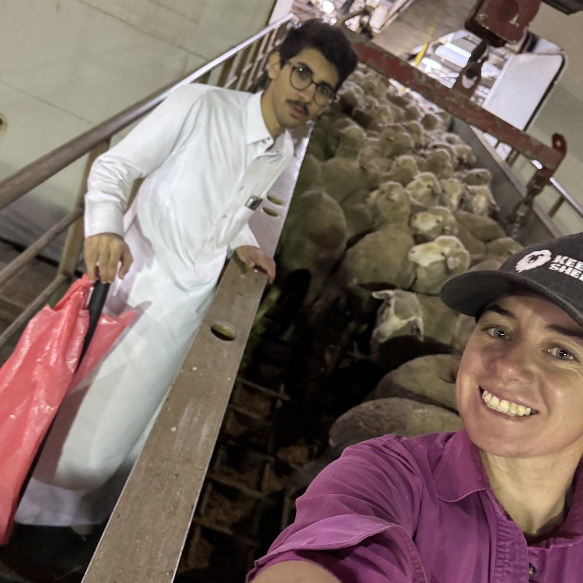 Mandy Matthews tweet media