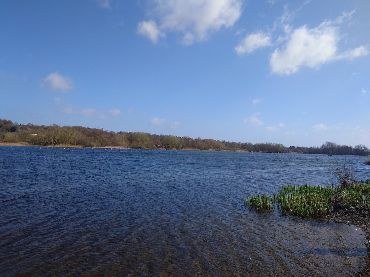 RachelBuk's tweet photo. Gorgeous morning running down at Whitlingham Lake! #whitlingham https://t.co/w5xe6Y4RTh
