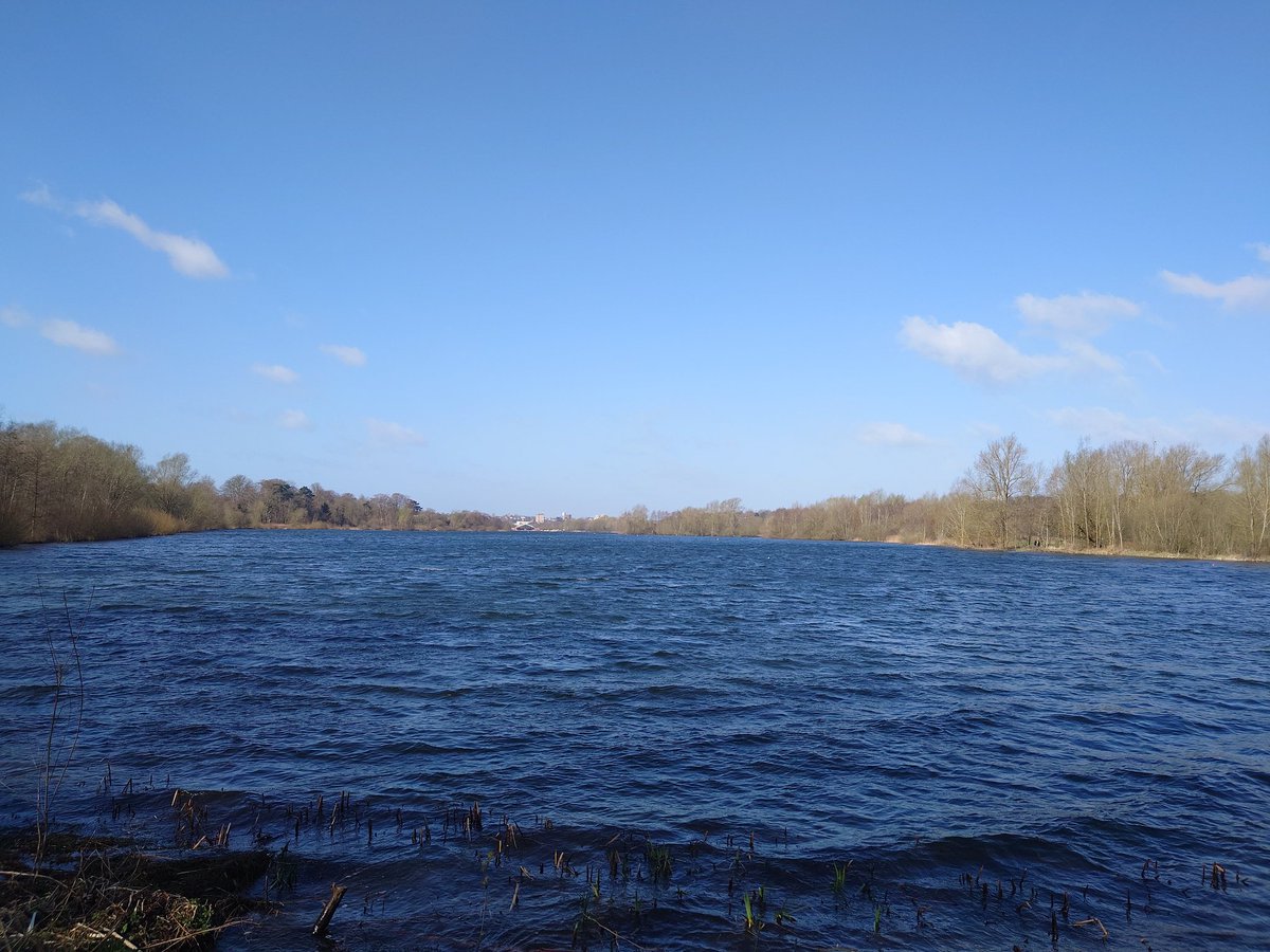 RachelBuk's tweet photo. Gorgeous morning running down at Whitlingham Lake! #whitlingham https://t.co/w5xe6Y4RTh