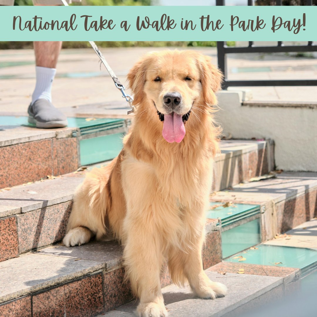Because every pup deserves a springtime stroll! 🐕‍🦺🌼🐾 Enjoy national take a walk in the park day with your dog in the fresh air! 🐕️☀️🐶

#nationalday #springtime #takeawalkintheparkday #dogpark #welovedogs #dogday #celebrate #dogs #spring #dogparkadventures #dogparkfun