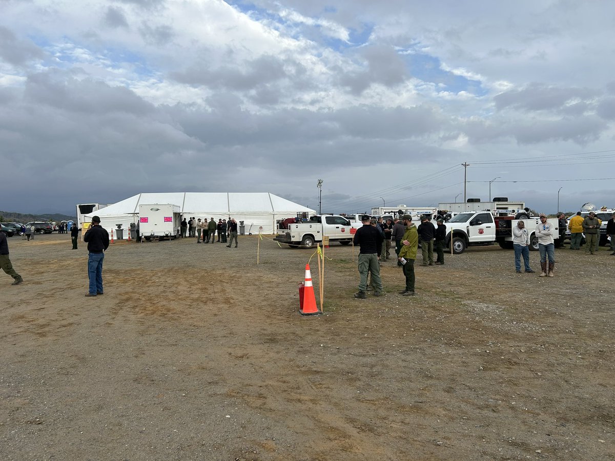 Gracee Mattiace tweet media