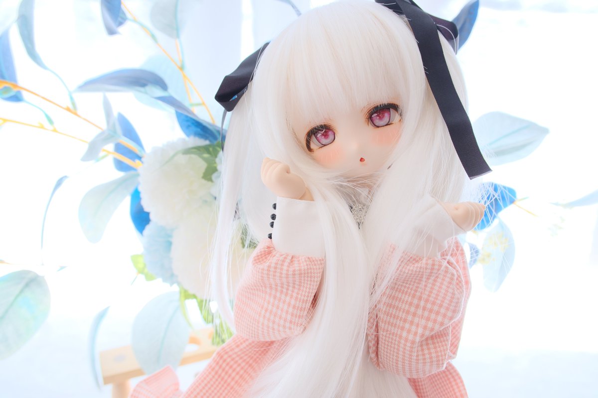 Milky様ご予約おねむちゃんエキゾチックベビー子猫ちゃんアート