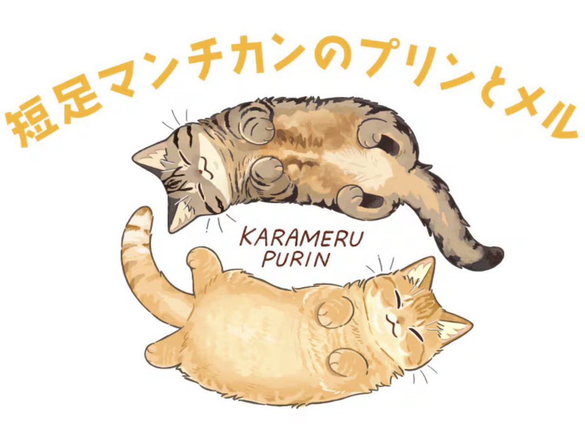 たたメーピー (@tatamepi) / Posts / X