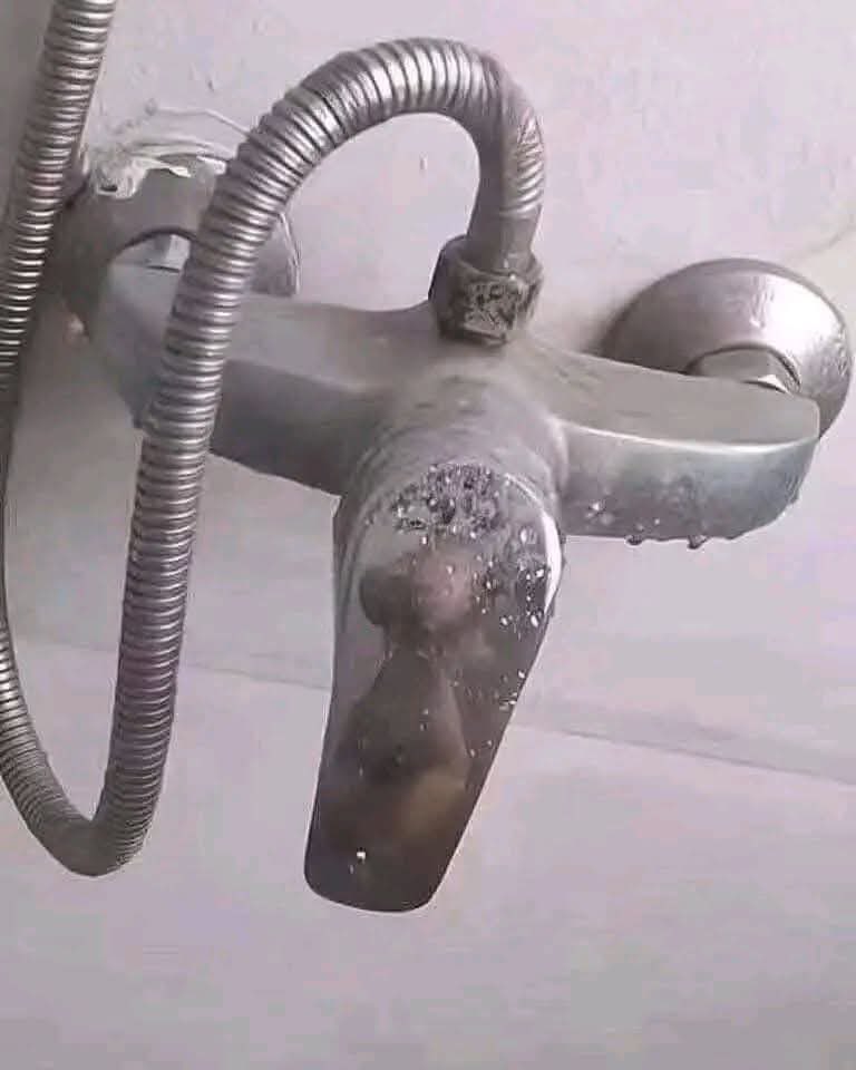 Cơm chan nước đá tweet media