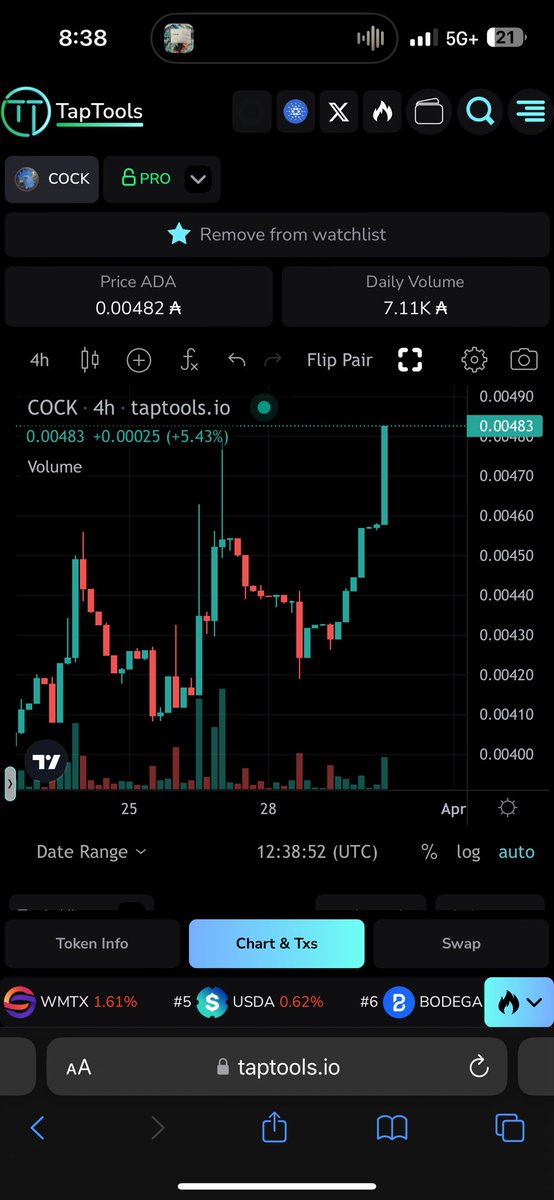 COCK-WHALE 🐋 tweet media