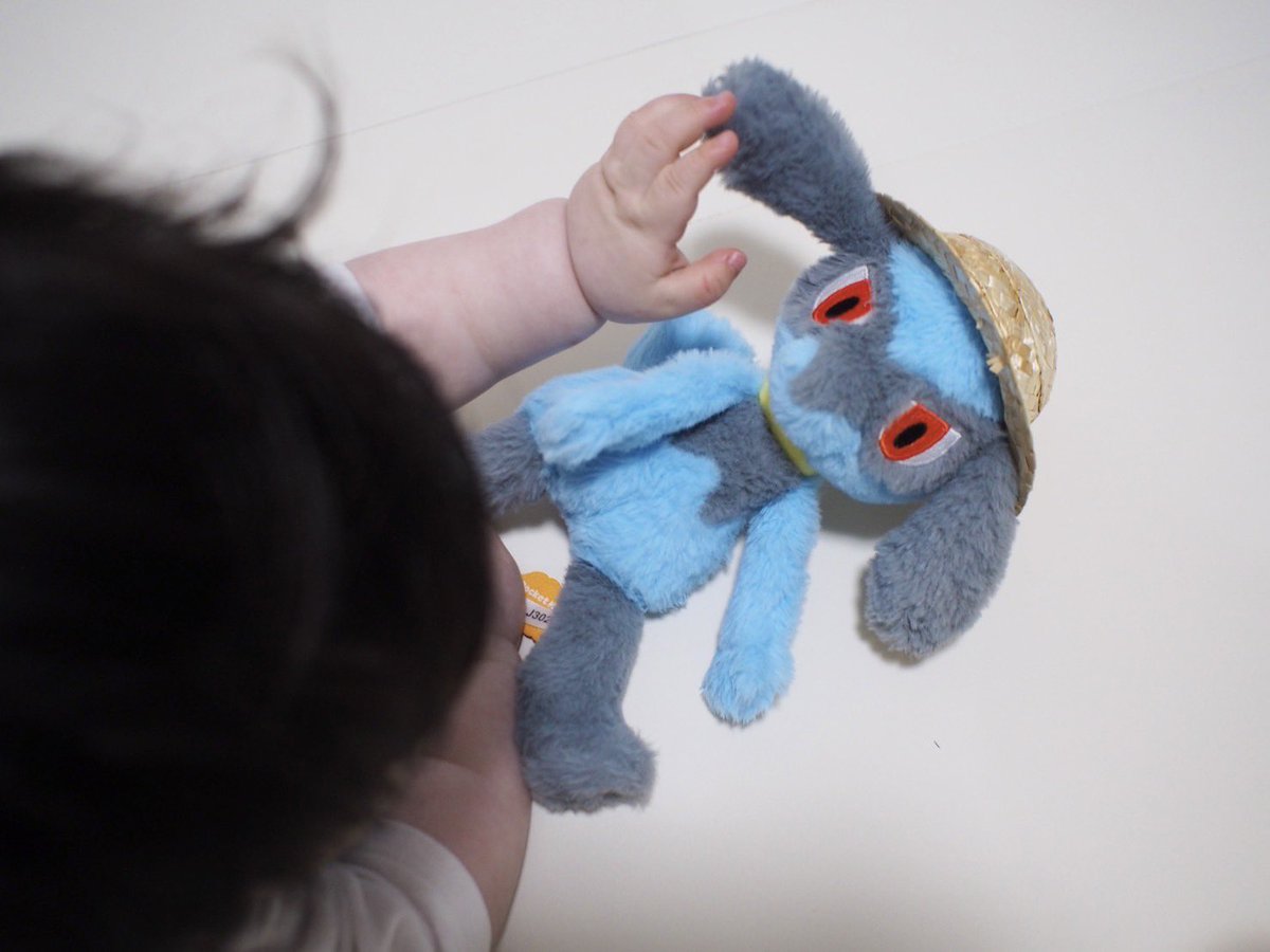 夏を先取りリオ！おしゃれリオ✨
↓
わわっ
↓
わあーー！取られるリオー！

#リオル　#riolu