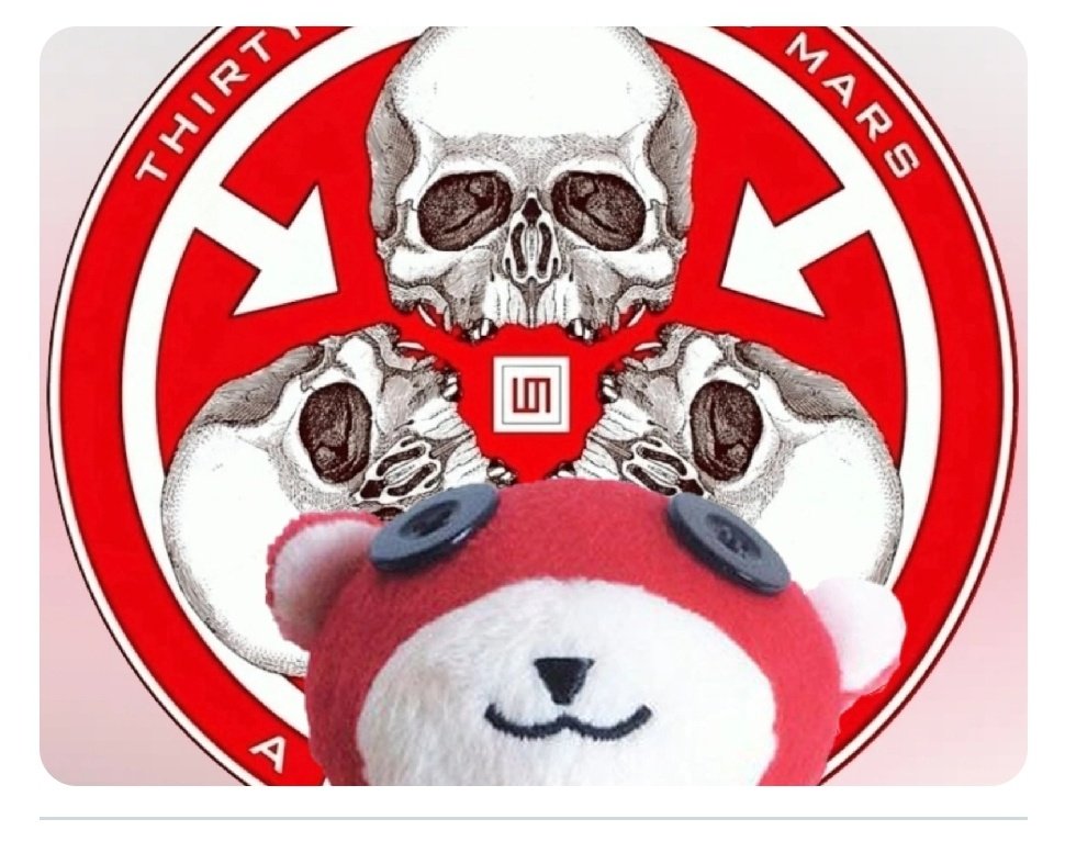 BooBooRedBear's tweet image. #NewProfilePic #MarsArmy