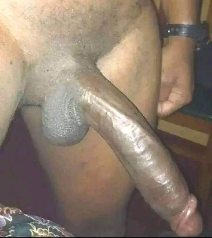 ابي فحل افريقي. خال في حائل او قريب من حائل يكون سلاحه زي هذا ولو كان اكبر بيكون احلا. اللي يملك زي هذا ومكانه قريب من حائل يجي خاص يثبت لي ذالك ويبشر بالعيديه اللي ترضيه