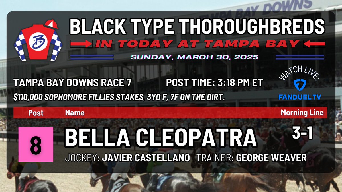Black Type Thoroughbreds (@blacktypetb) on Twitter photo The first of our two stakes entries on today's <a href="/TampaBayDownsFL/">Tampa Bay Downs Official Account</a> card is BELLA CLEOPATRA...
She'll break from the outside post 8 in the $110K Sophomore Fillies Stakes. <a href="/jjcjockey/">Javier Castellano</a> gets the call. Post time for Race 7 at 3:18pm ET on <a href="/FanDuel/">FanDuel</a> TV! #BlackType #BellaCleopatra The first of our two stakes entries on today's <a href="/TampaBayDownsFL/">Tampa Bay Downs Official Account</a> card is BELLA CLEOPATRA...
She'll break from the outside post 8 in the $110K Sophomore Fillies Stakes. <a href="/jjcjockey/">Javier Castellano</a> gets the call. Post time for Race 7 at 3:18pm ET on <a href="/FanDuel/">FanDuel</a> TV! #BlackType #BellaCleopatra