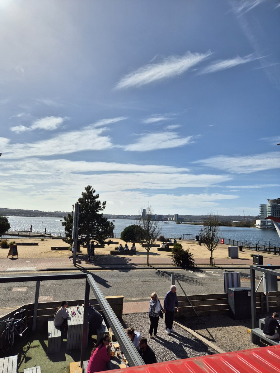 Danielle tweet media