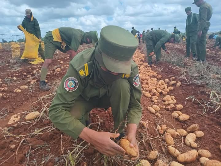 Los jóvenes de las FAR saludan el aniversario de la UJC con más estudio, más trabajo y más defensa.
El amor por #Cuba y el antimperialismo los convoca y los une.