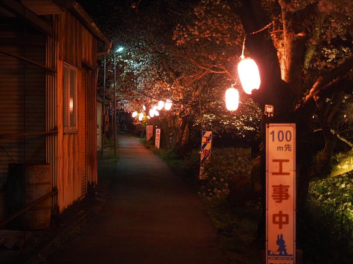 MeFZtlraOJHWxcP's tweet photo. 勝間田川の夜桜。
一部ライトアップされてないところは真っ暗なので、懐中電灯など用意した方が良さそうです。
#kmix_flower #om #olympus #em1markⅱ #1240f28pro #夜桜 #ライトアップ #桜 #勝俣川 #牧之原市 #静岡県 https://t.co/IT8sQTmQW4
