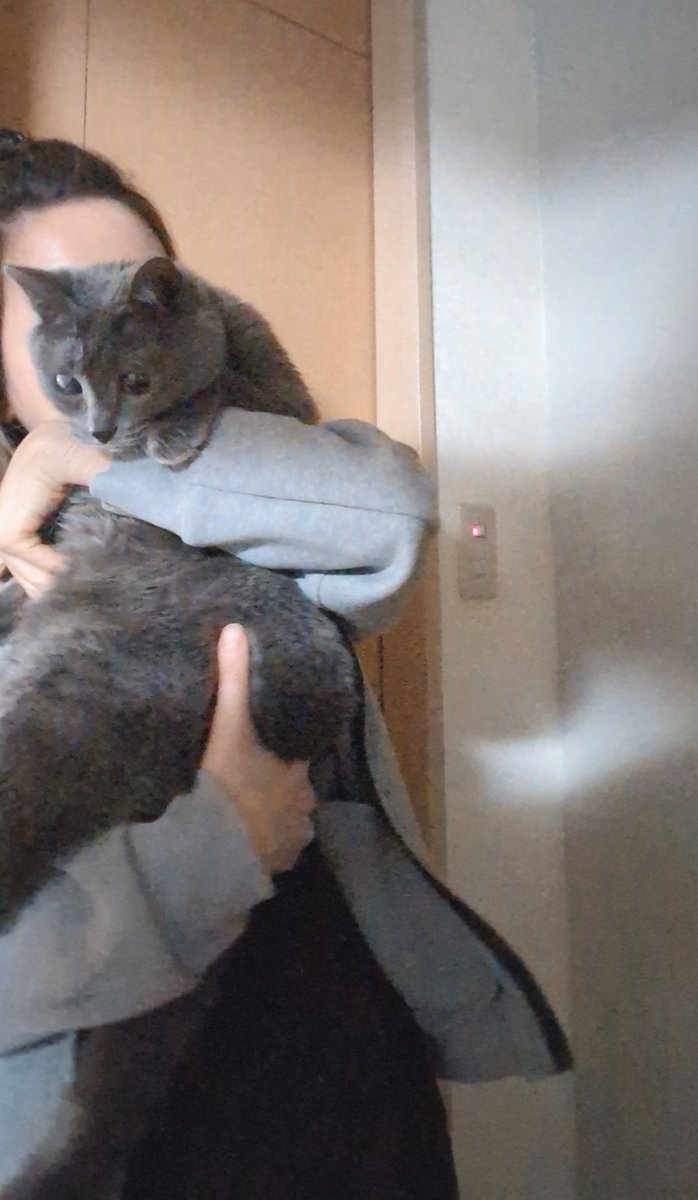 86Myao's tweet photo. 今日はイオン導入したので猫を抱っこすると顔中に猫の毛が付きます！！！ https://t.co/Uuszb71aoX