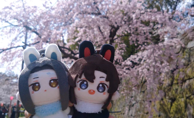 お花見