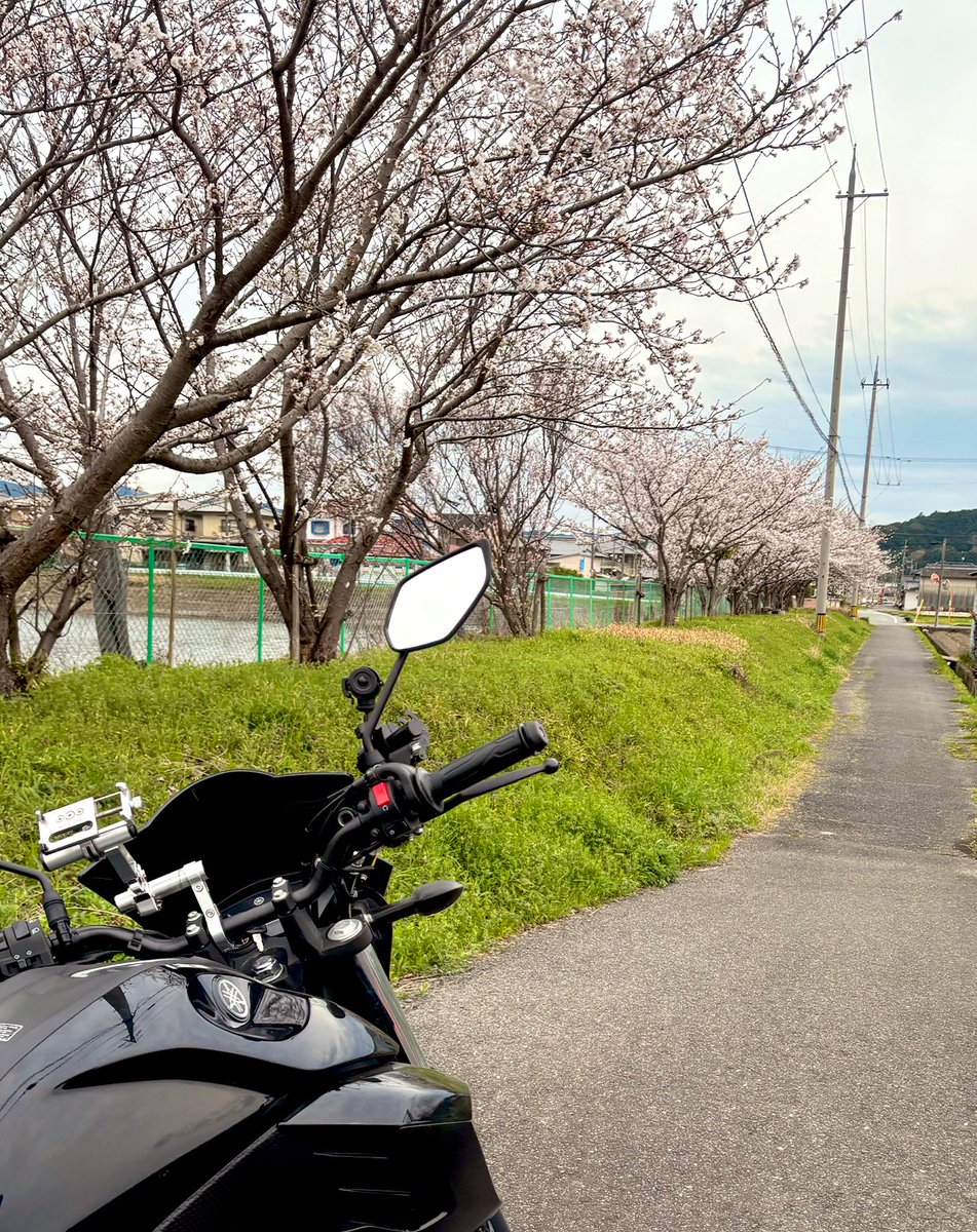 silversabeledge's tweet photo. 友達と奈良ツーリングに行って来ました🏍️桜は少し早かったようです🌸
気温が低かったおかげでラーメンがめっちゃ美味しかったです🍜 https://t.co/F7p27exP6K