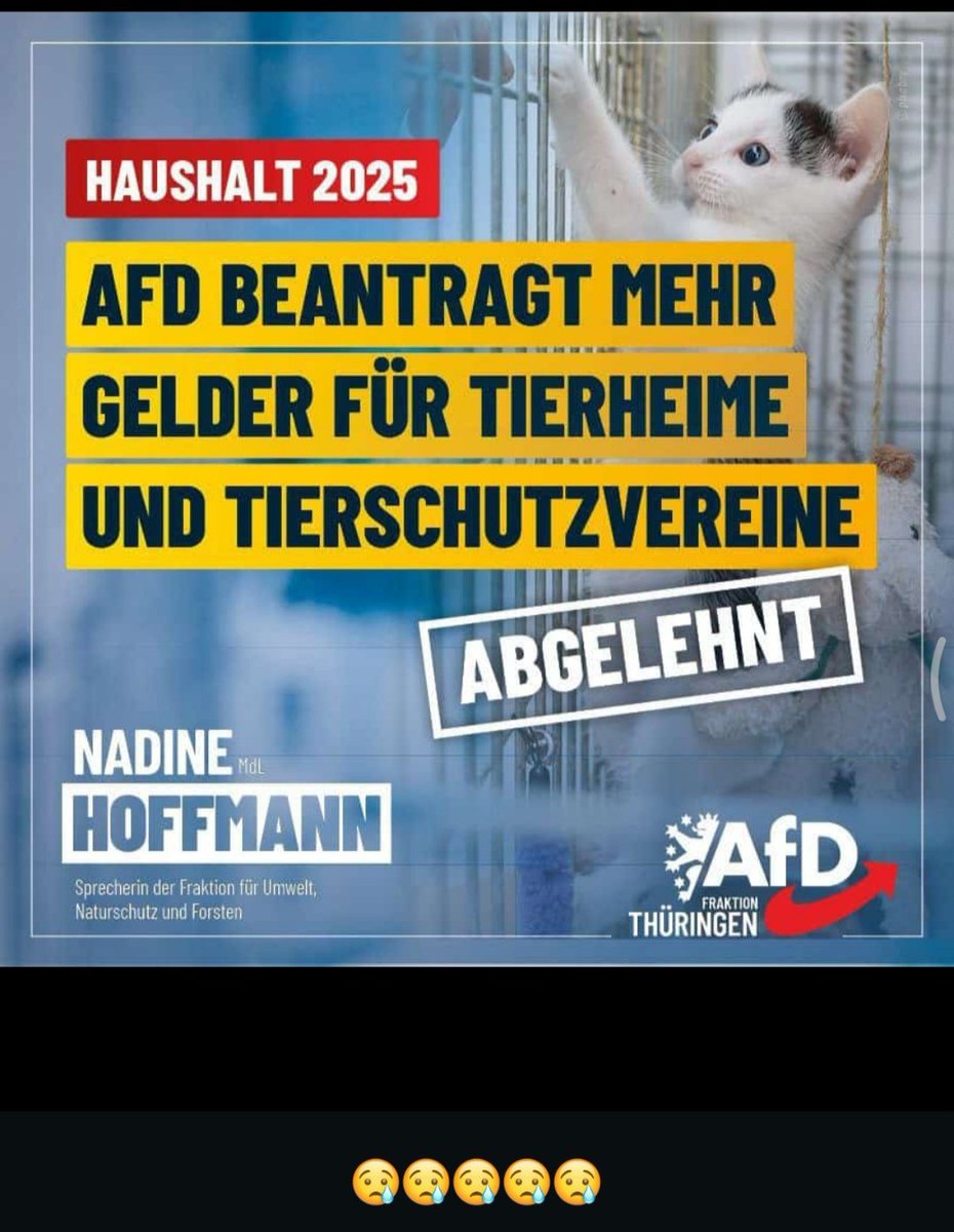 Nur noch abstoßend 😡widerlich👿