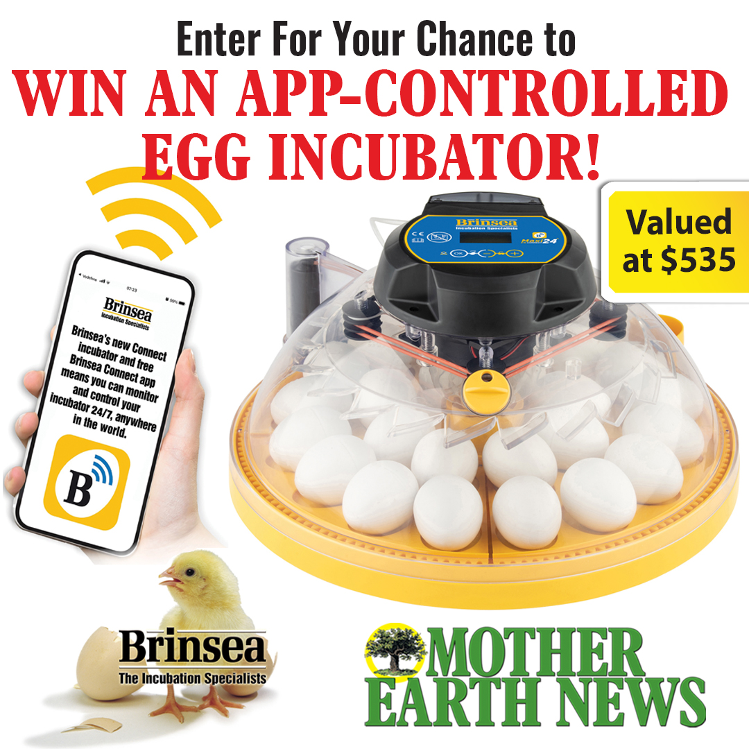 GRIT Magazine (@gritmagazine) on Twitter photo Imagine hatching your own chicks with ease using the Brinsea Maxi 24 EX Connect Egg Incubator! This high-tech incubator does the hard work for you ā humidity control, temperature regulation, and even app monitoring. <a href="/brinseaUS/">Brinsea Products Inc</a>
š motherearthnews.com/sweepstakes/br⦠Imagine hatching your own chicks with ease using the Brinsea Maxi 24 EX Connect Egg Incubator! This high-tech incubator does the hard work for you ā humidity control, temperature regulation, and even app monitoring. <a href="/brinseaUS/">Brinsea Products Inc</a>
š motherearthnews.com/sweepstakes/brā¦