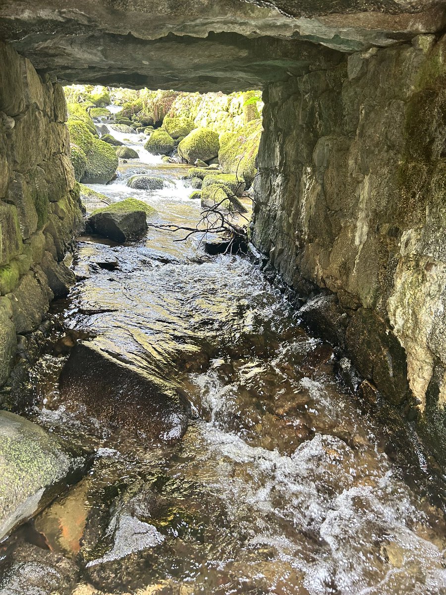 GillianSmith67's tweet photo. Kennall Vale Nature Reserve⦠#stithians https://t.co/M7zB1ihQ9c