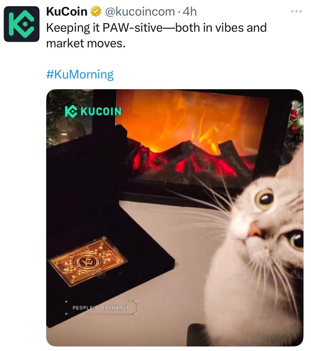 PiNetworkAlerts's tweet photo. Only scammers are calling $PAWS a scam 🐾🐾

While CEXs &amp; DEXs supporting &amp; promoting #PAWS continuously 🫶🫶

Stay #PAWSITIVE 😇 $PAWS will cook for the good community 💰

You 🫵 Yes you 🫵 your support &amp; efforts will be rewarded ❤️💰💰 https://t.co/sLEw0vguvv