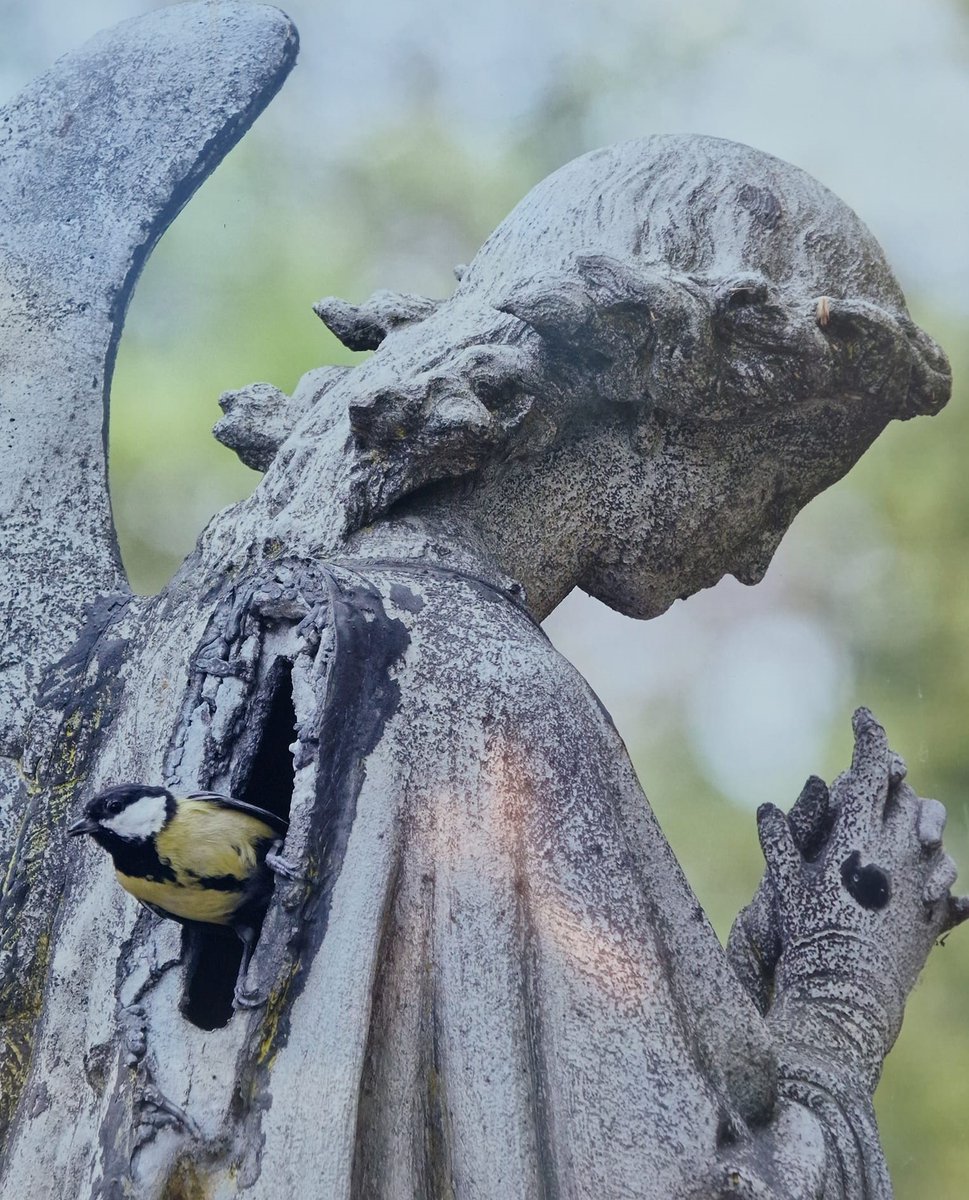 Stef (@stefdesvosges) on Twitter photo le 31 mars 1886 décès à Paris de Victor Paillard bronzier et sculpteur, 33e division - cimetière du Père Lachaise. L'ange sert de nid pour les oiseaux photos de <a href="/missgrillet/">Miss Grillet</a> et <a href="/benoit_gallot/">Benoît GALLOT</a> le 31 mars 1886 décès à Paris de Victor Paillard bronzier et sculpteur, 33e division - cimetière du Père Lachaise. L'ange sert de nid pour les oiseaux photos de <a href="/missgrillet/">Miss Grillet</a> et <a href="/benoit_gallot/">Benoît GALLOT</a>