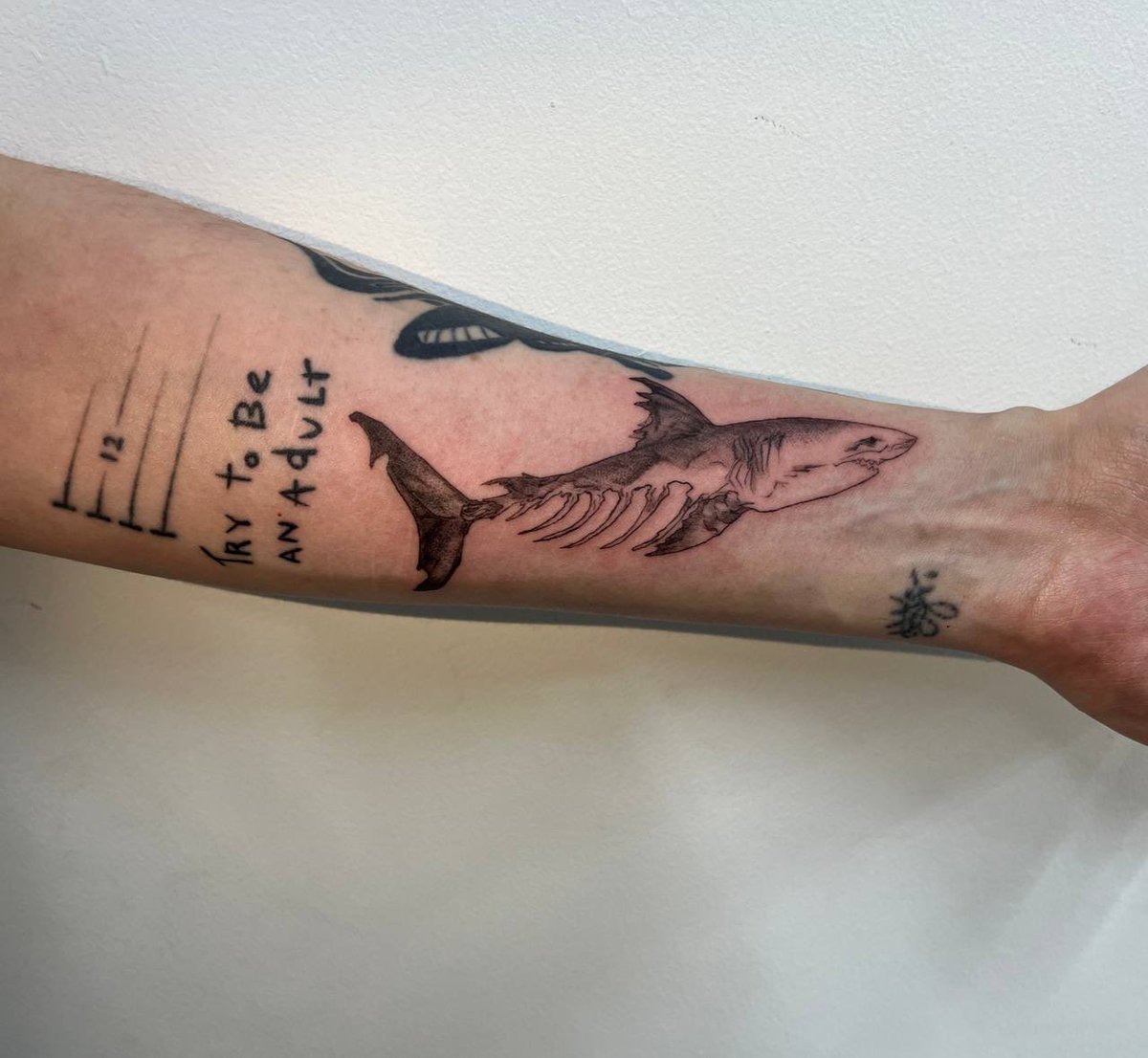 snakenapple's tweet image. Так ну э, я вообще сегодня завершил очередной пробег по этой планете, то есть, стал старше на год, то есть у меня день рождения! 👁️👄👁️
А еще я пытаюсь возвращаться в рисование и пытаюсь бить татухи, а как грица лучший подарок человеку который чет делает это репост его работ
Аьеь