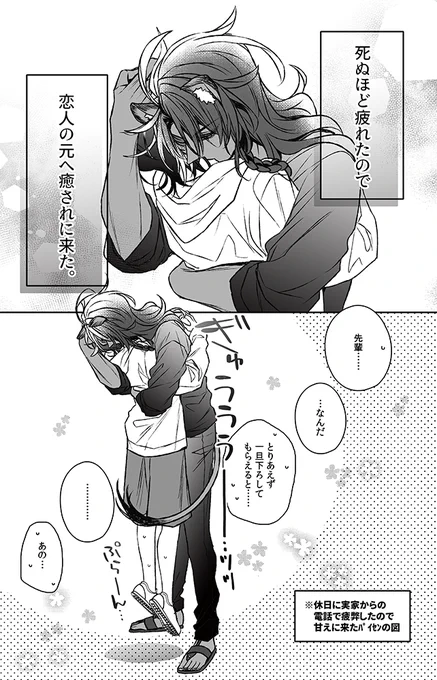 君の顔が見たかった/レオ監♀
#twstプラス 